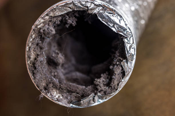 Best Residential Air Duct Cleaning  in Grand Point, LA