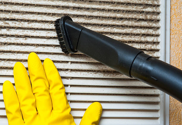 Best Professional Duct Cleaning Services  in Grand Point, LA